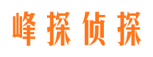 萨嘎市侦探调查公司